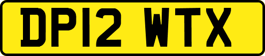 DP12WTX