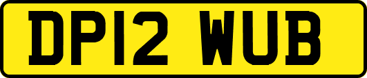 DP12WUB