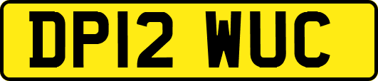 DP12WUC