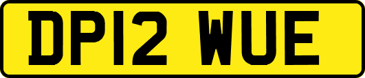 DP12WUE