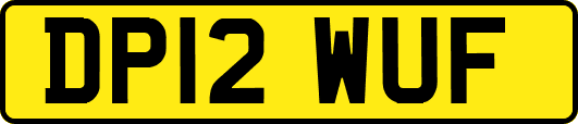 DP12WUF