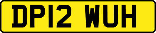 DP12WUH