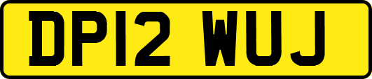 DP12WUJ