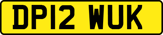 DP12WUK