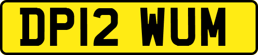 DP12WUM