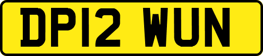DP12WUN