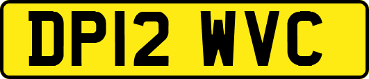 DP12WVC