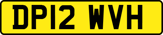 DP12WVH
