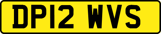 DP12WVS