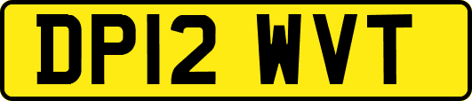 DP12WVT