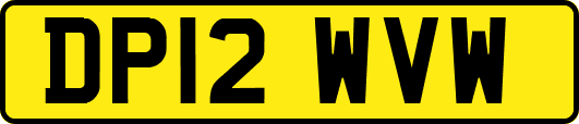 DP12WVW