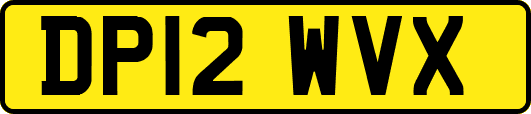 DP12WVX