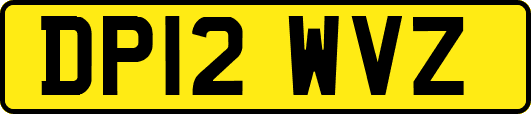 DP12WVZ