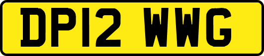DP12WWG