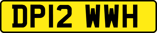 DP12WWH