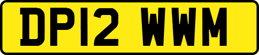 DP12WWM