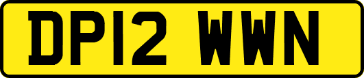 DP12WWN