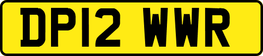 DP12WWR