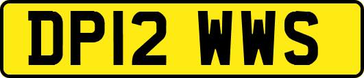 DP12WWS