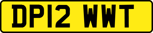 DP12WWT