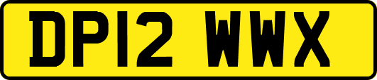 DP12WWX