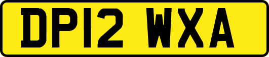 DP12WXA