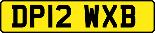 DP12WXB