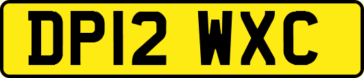 DP12WXC