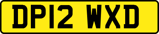 DP12WXD