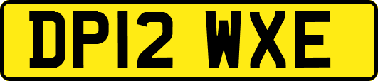 DP12WXE