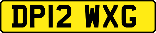 DP12WXG