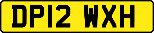 DP12WXH