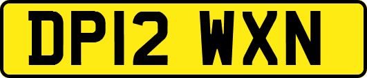 DP12WXN