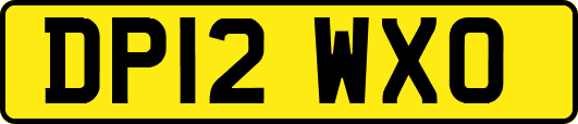 DP12WXO