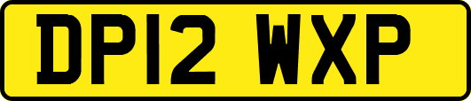 DP12WXP