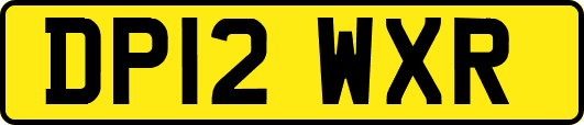 DP12WXR