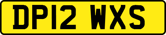 DP12WXS