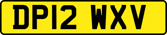 DP12WXV