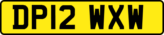 DP12WXW