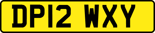 DP12WXY