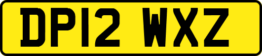DP12WXZ