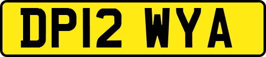 DP12WYA