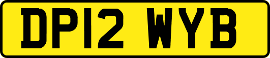 DP12WYB