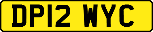 DP12WYC