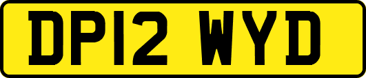 DP12WYD