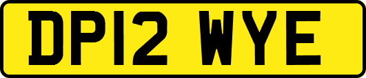 DP12WYE