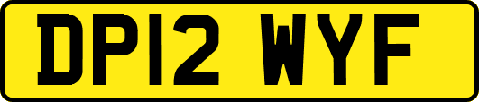 DP12WYF