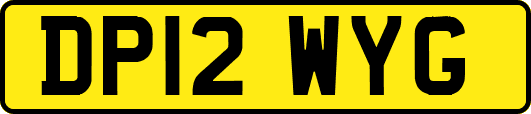 DP12WYG
