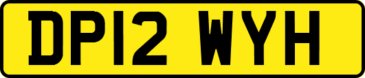 DP12WYH