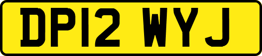 DP12WYJ
